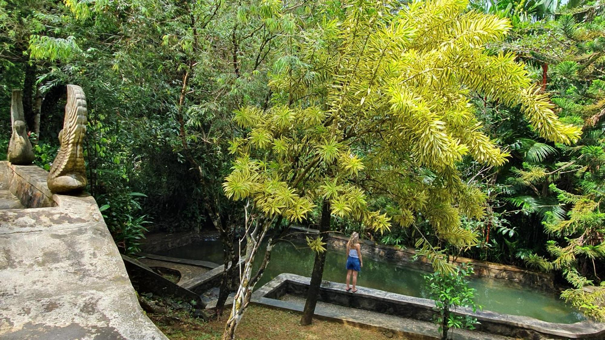 Pelawatta  Singharaja Garden Agro Eco Lodge מראה חיצוני תמונה