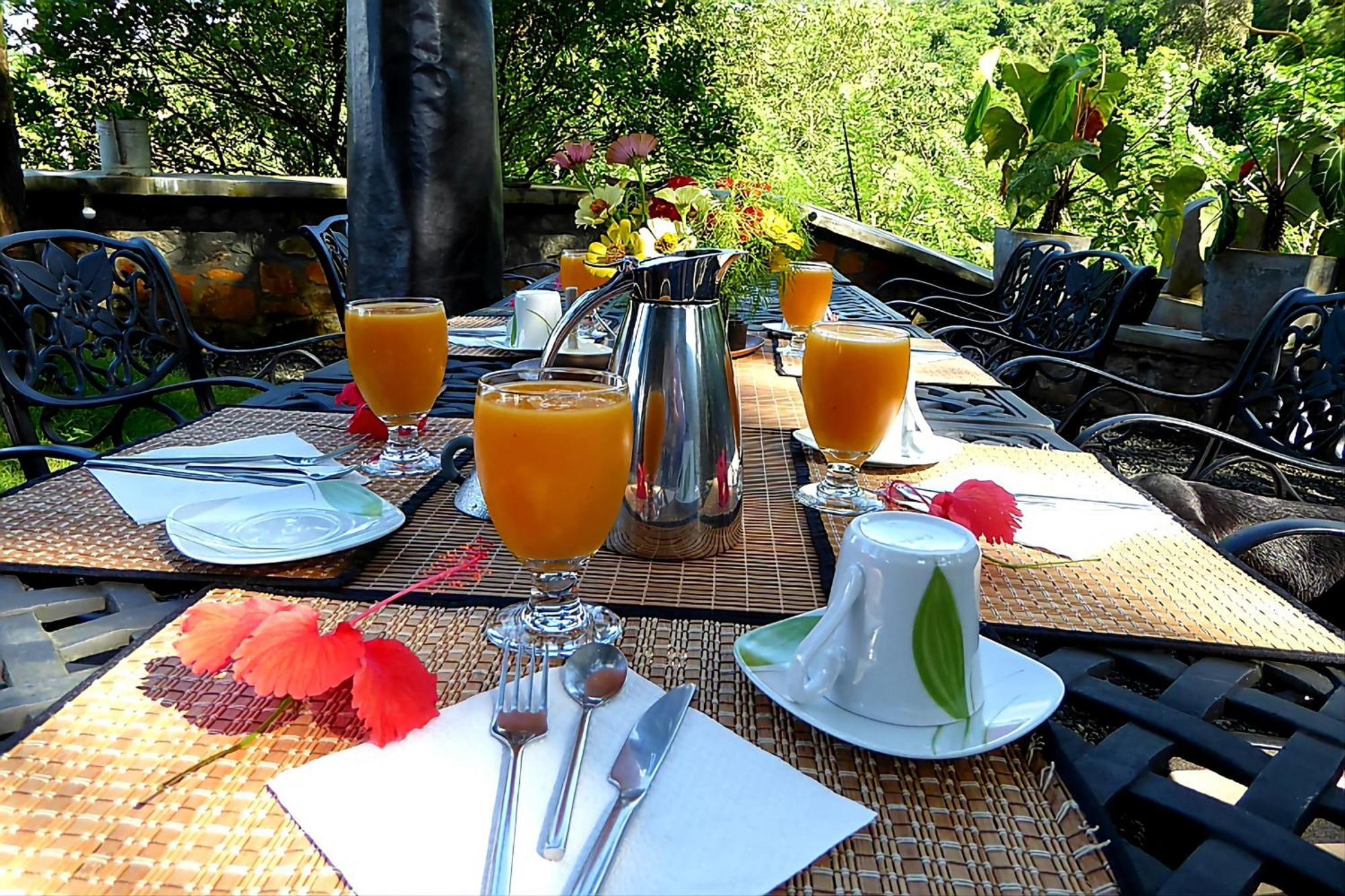 Pelawatta  Singharaja Garden Agro Eco Lodge מראה חיצוני תמונה