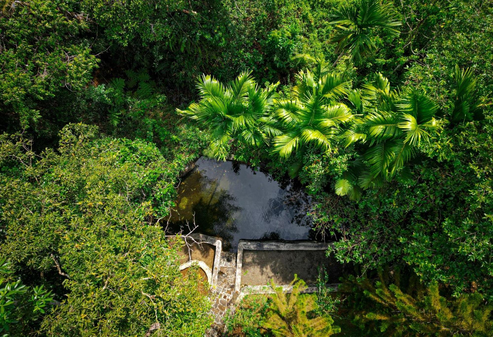 Pelawatta  Singharaja Garden Agro Eco Lodge מראה חיצוני תמונה