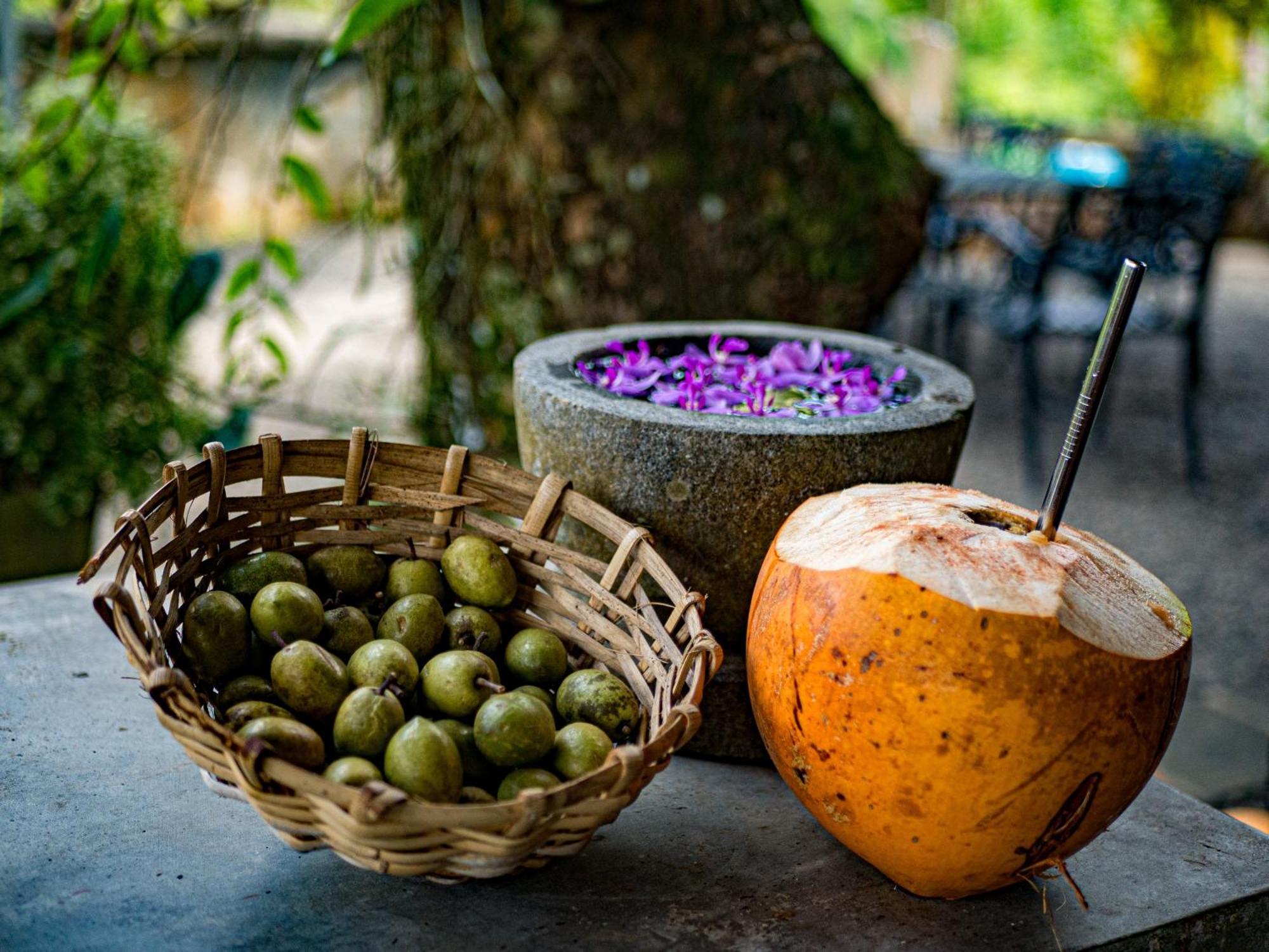 Pelawatta  Singharaja Garden Agro Eco Lodge מראה חיצוני תמונה