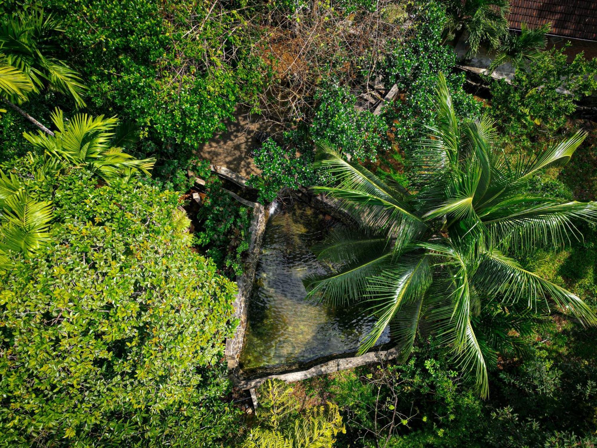 Pelawatta  Singharaja Garden Agro Eco Lodge מראה חיצוני תמונה