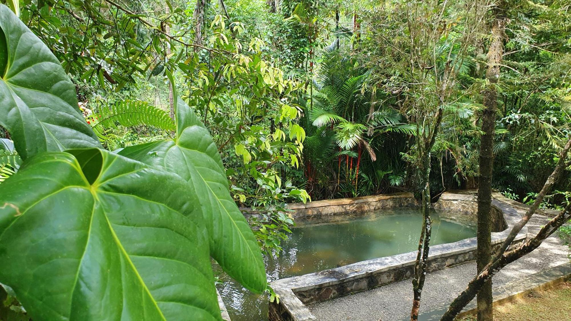 Pelawatta  Singharaja Garden Agro Eco Lodge חדר תמונה