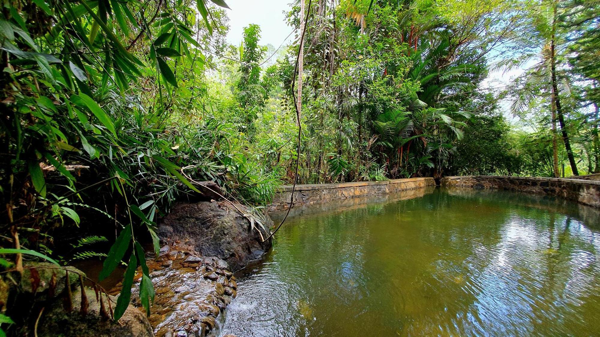 Pelawatta  Singharaja Garden Agro Eco Lodge חדר תמונה